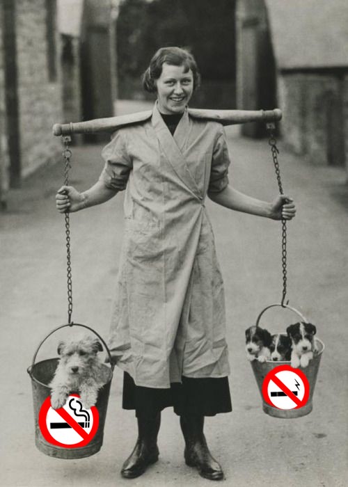 grossesse et vapotage blog le petit vapoteur (2)